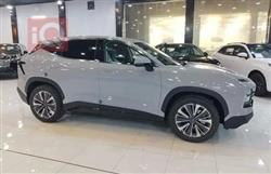 جيتور داشينج